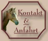 Kontakt_-_CV-Ponyfarm