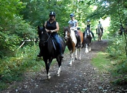 Reiterferien CV Ponyfarm Ausritt im Wald