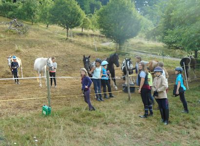 Reiterferien CV Ponyfarm die Ponys von der Koppel holen